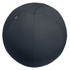 Leitz aktiivipallo tasapainottavalla lisäpainolla 65cm