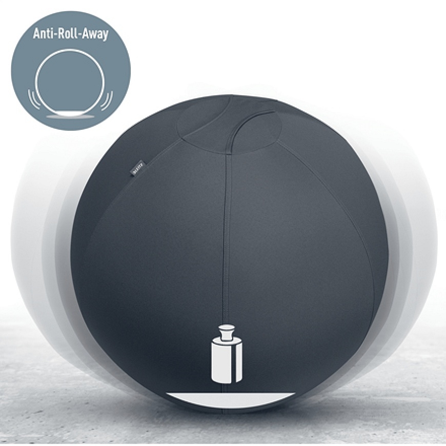 Leitz aktiivipallo tasapainottavalla lisäpainolla 65cm – 2