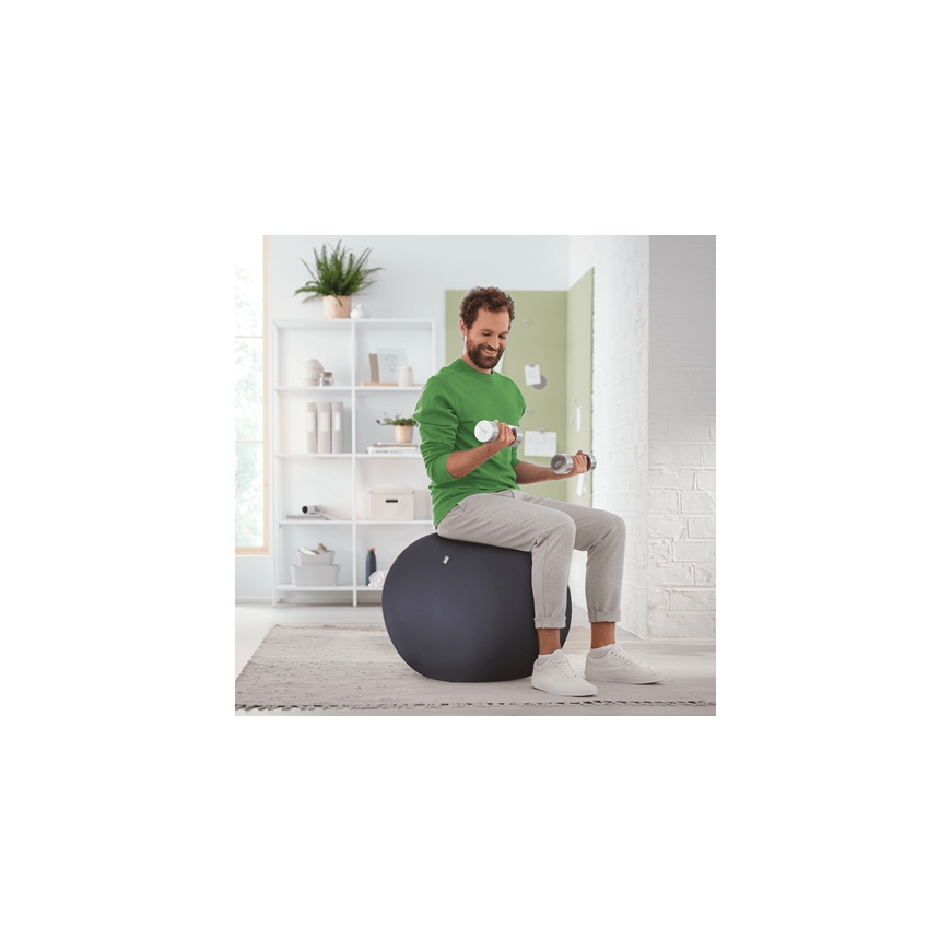 Leitz aktiivipallo tasapainottavalla lisäpainolla 65cm – 5