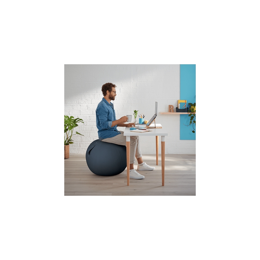 Leitz Ergo Cosy aktiivipallo – 2