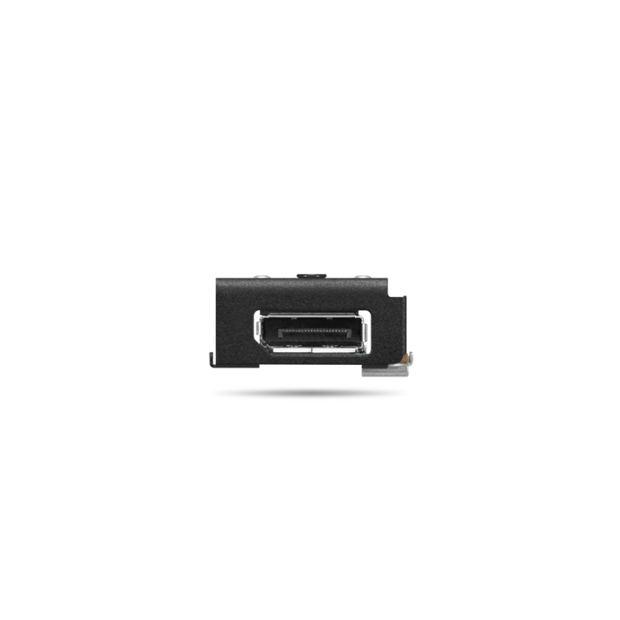 Lenovo 4XH1U89937 интерфейсная карта/адаптер Внутренний DisplayPort