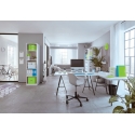 Leitz Click & Store WOW Medium Storage Box Leitz Click & Store WOW Medium Storage Box