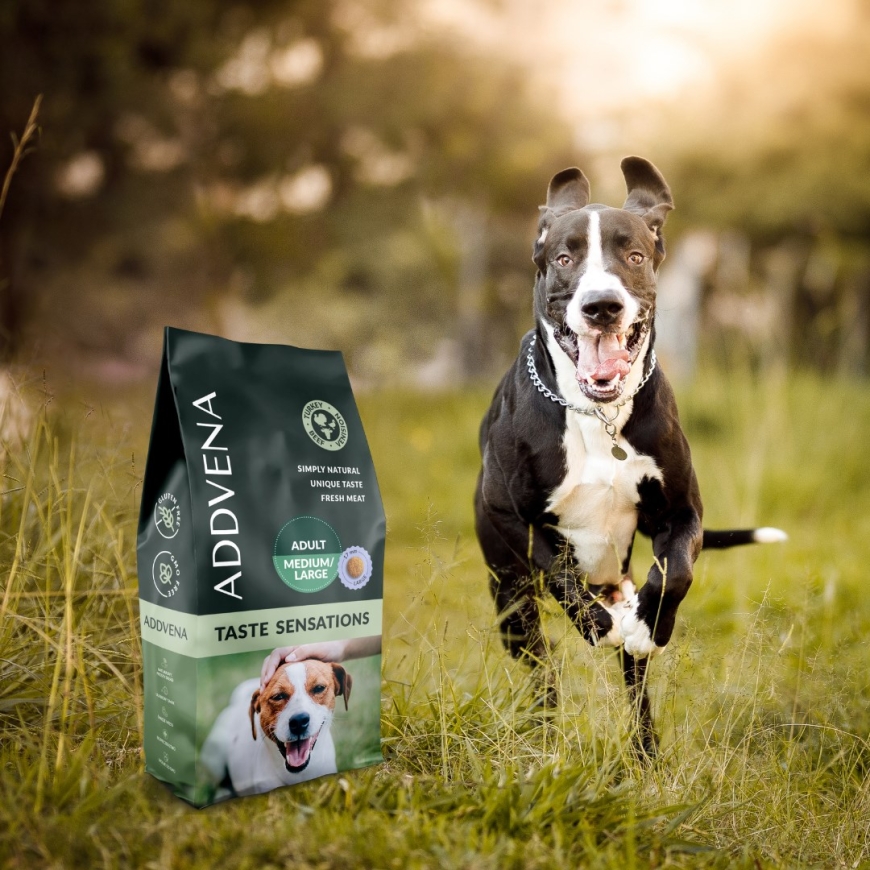 ADDVENA Taste Sensations Adult Medium/Large Turkey - dry dog food - 10kg – 4