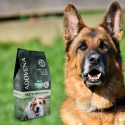 ADDVENA Makunnot Koira Aikuisille Keskikokoisille/Suurellekokoisille Turkki - kuiva koiranruoka - 10kg ADDVENA Makunnot Koira Aikuisille Keskikokoisille/Suurellekokoisille Turkki - kuiva koiranruoka - 10kg