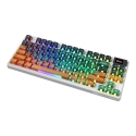 MSI FORGE GK600 TKL WIRELESS MARS клавиатура Игровой USB + Bluetooth QWERTY Международный американск