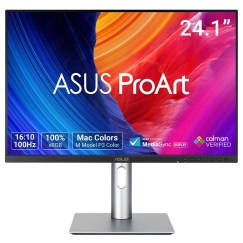 ASUS ProArt PA248QFV PC lamekuvar 61,2 cm (24.1") 1920 x 1200 pikslit WUXGA LCD Hõbe