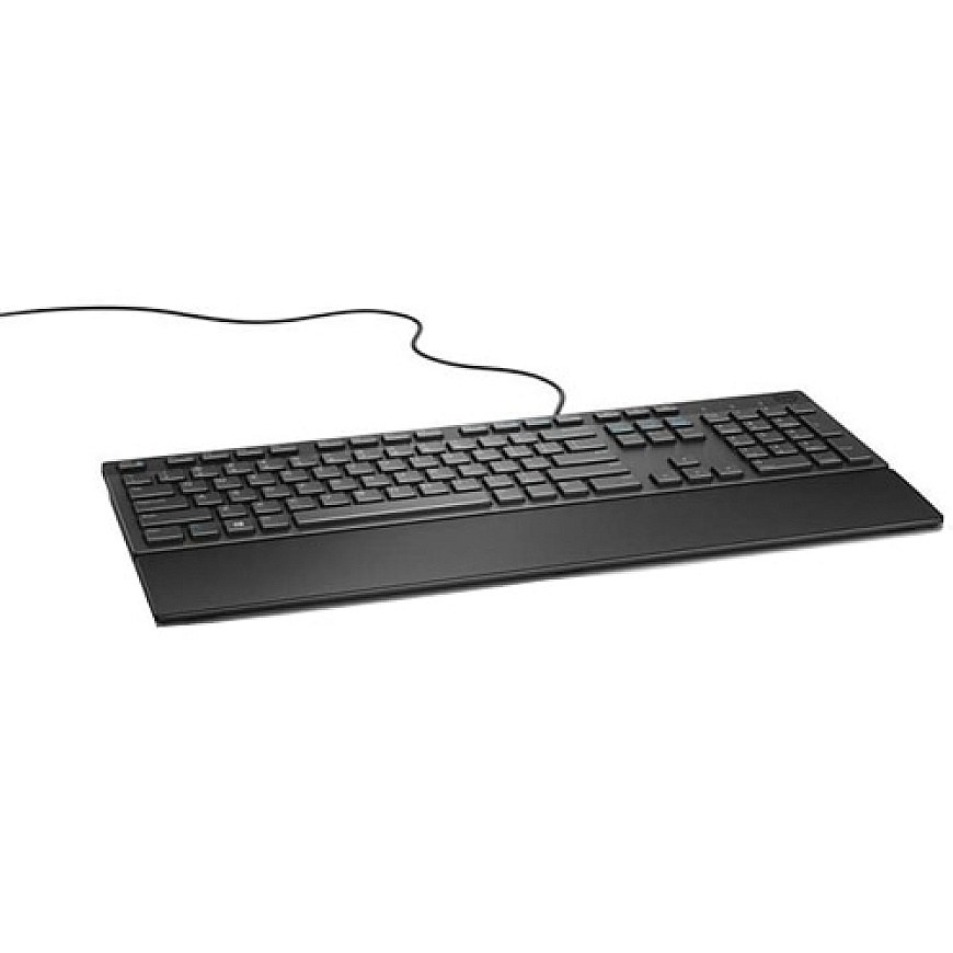 DELL KB216 klaviatuur Universaalne USB QWERTY Rootsi Must