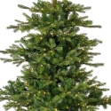 Everlands Grandis Fir aidonnäköinen joulukuusi valoilla, 180 cm Everlands Grandis Fir aidonnäköinen joulukuusi valoilla, 180 cm