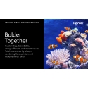 Xerox 008R13326 тонерный картридж 1 шт Подлинный Черный Xerox 008R13326 тонерный картридж 1 шт Подлинный Черный