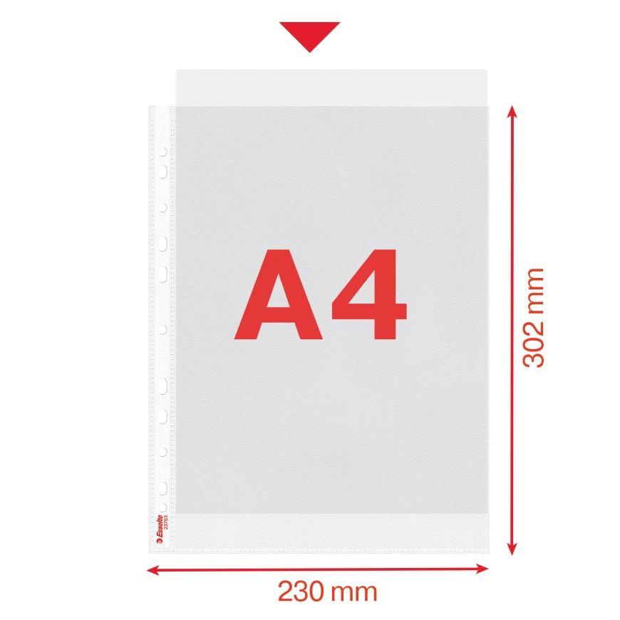 Esselte 23763 dokumendikaaned 210 x 297 mm (A4) Polüpropüleen (PP) 100 tk – 5