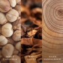WoodWick Iris Woods vahakynttilä Ellipse Puu Ruskea 1 kpl WoodWick Iris Woods vahakynttilä Ellipse Puu Ruskea 1 kpl