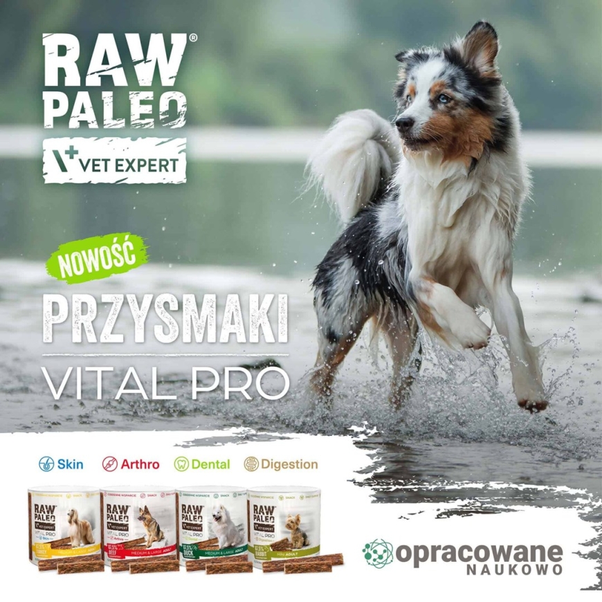VETEXPERT Raw Paleo Vital Pro Arthro Beef Medium Large Mono - skanėstas šunims - 100g – 2
