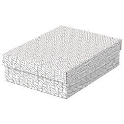 Esselte Home säilytyslaatikko "M" matala valk., 3kpl/pkt