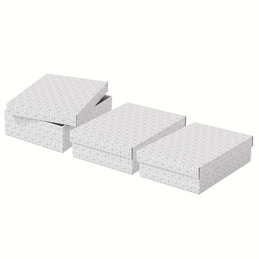 Esselte 628284 failu uzglabāšanas kaste Kartona kārba/tetrapaka Balts – 4