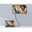 Equip 119253 DisplayPort кабель 3 m Черный Equip 119253 DisplayPort кабель 3 m Черный