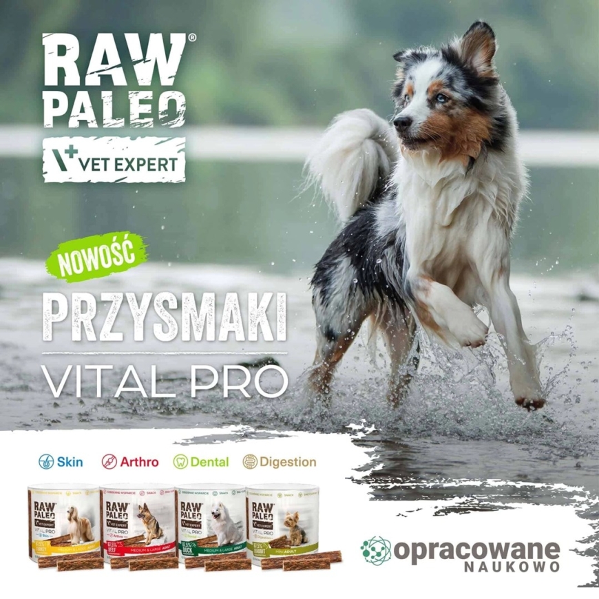 VETEXPERT Raw Paleo Vital Pro Digestion Rabbit Mini Mono - suņu našķis - 100g – 4
