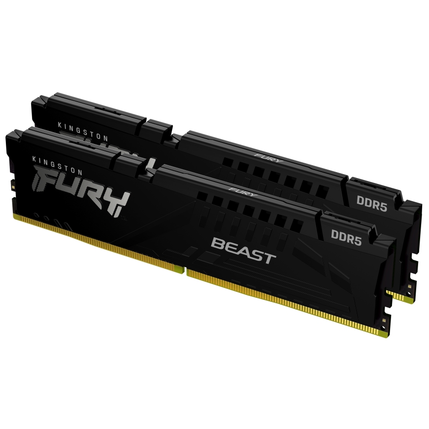 Kingston Technology Kingston Technology FURY Beast