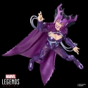 Marvel Legends Series X-Men Deathbird & Gladiator Marvel Legends Series X-Men Deathbird & Gladiator