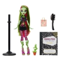 Monster High JHK58 кукла Monster High JHK58 кукла