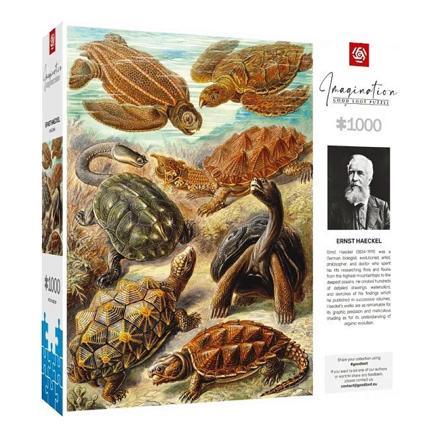 Palapeli Good Loot Imagination - Ernst Haeckel: Merikilpikonnat 1000 kpl – 3