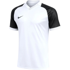 Meeste t-särk Nike Dri-FIT Trophy VI valge HV8151 100 (2XL)