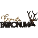 Widdop Co Harija Potera Patronum koka zīme Widdop Co Harija Potera Patronum koka zīme