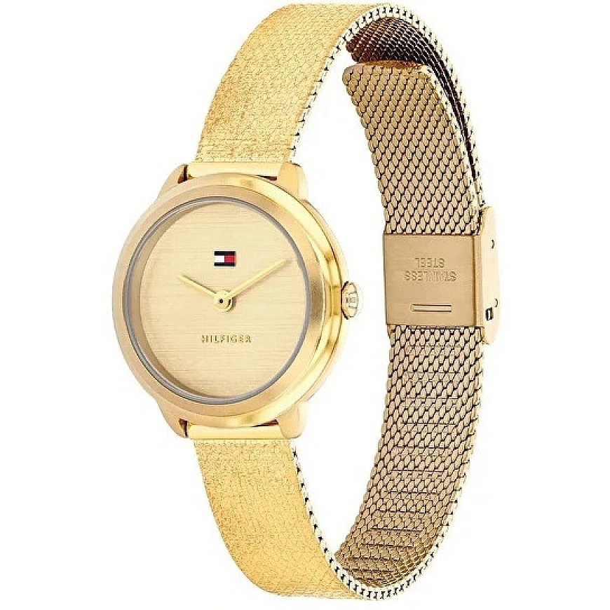 Kello Tommy Hilfiger Demi 1782811