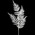 Eurofirany SW/G/279 84CM B Eurofirany SW/G/279 84CM B