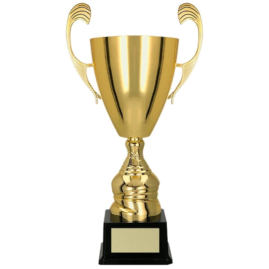 Auksinis metalinis puodelis TS – 2