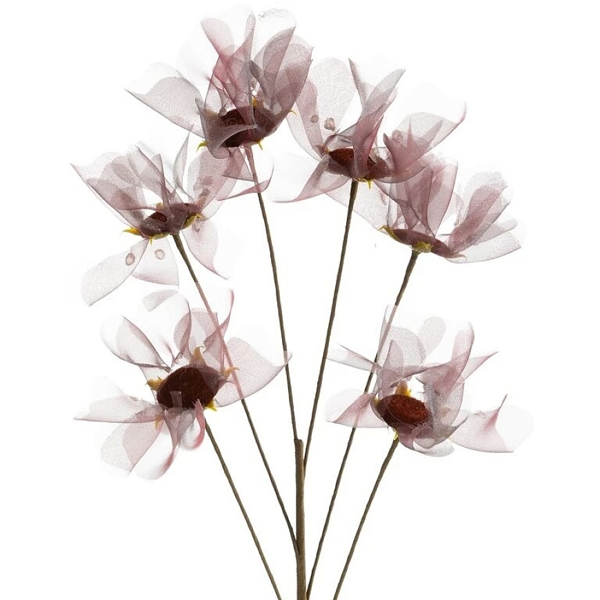 Eurofirany KW/ORGANZA/12/BO BORD