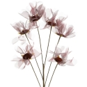 Eurofirany KW/ORGANZA/12/BO BORD Eurofirany KW/ORGANZA/12/BO BORD