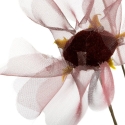 Eurofirany KW/ORGANZA/12/BO BORD Eurofirany KW/ORGANZA/12/BO BORD