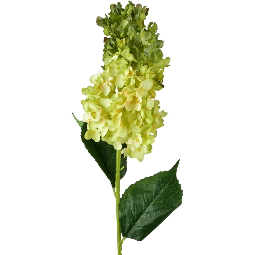Mondex Since 1986 VIRIDIS flower long hydrangea 80cm