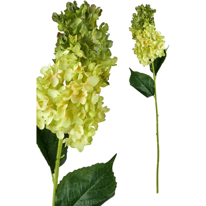 Mondex Since 1986 VIRIDIS gėlė ilga hortenzija 80cm – 3