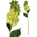 Mondex Since 1986 VIRIDIS gėlė ilga hortenzija 80cm Mondex Since 1986 VIRIDIS gėlė ilga hortenzija 80cm