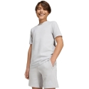 Šortai bērniem adidas Entrada 26 Sweat pelēki KF5929 (152cm) Šortai bērniem adidas Entrada 26 Sweat pelēki KF5929 (152cm)
