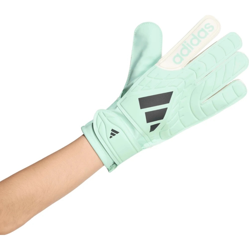 adidas Copa Club Goalkeeper Gloves Mint-White KE9730 (8.5) – 2