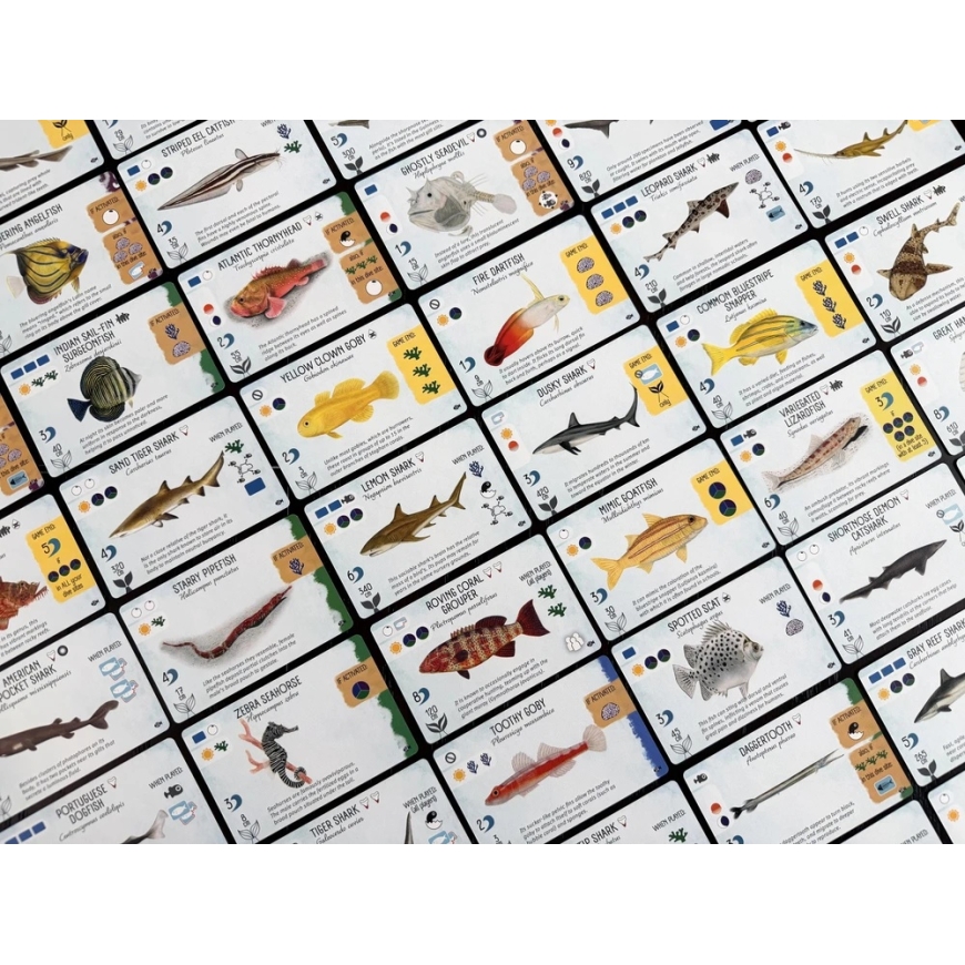 Stonemaier Games Finspan: Haiz un Rifi. – 4