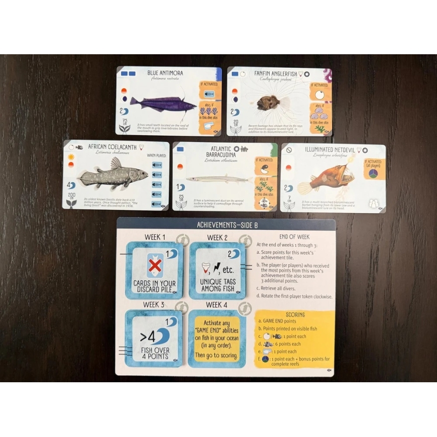 Stonemaier Games Finspan: Hai ja Riutat – 5