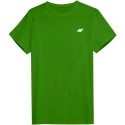 Meeste T-särk 4F M4483 roheline 4FWSS26TTSHM4483 41S (L) Meeste T-särk 4F M4483 roheline 4FWSS26TTSHM4483 41S (L)