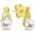 Brilio Silver Elegant Gold-Plated Earrings with Pearls and Zircons EA1248Y Brilio Silver Elegant Gold-Plated Earrings with Pearls and Zircons EA1248Y