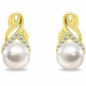 Brilio Silver Elegant Gold-Plated Earrings with Pearls and Zircons EA1248Y Brilio Silver Elegant Gold-Plated Earrings with Pearls and Zircons EA1248Y