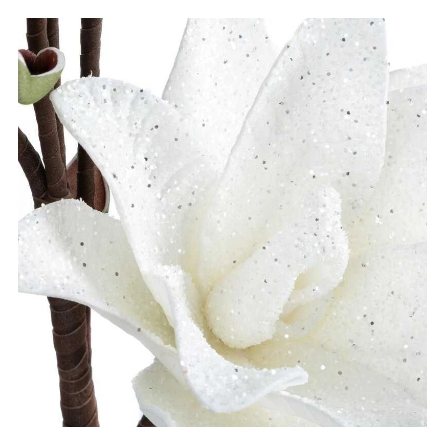 Eurofirany KW/FLORE/857/B B – 2