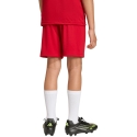 Šortus bērniem adidas Entrada 26 sarkani JZ6528 (116cm) Šortus bērniem adidas Entrada 26 sarkani JZ6528 (116cm)