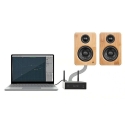 Arylic A50+ Network Player with Amplifier Arylic A50+ Network Player with Amplifier