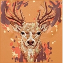 Dėklas NIMMY case DEER MagSafe ühildatav IPHONE 18 Pro/17 Pro, oranžine. Dėklas NIMMY case DEER MagSafe ühildatav IPHONE 18 Pro/17 Pro, oranžine.