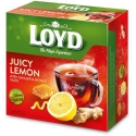 LOYD Ginger and Honey Flavored Fruit Tea, 50 x 2g LOYD Ginger and Honey Flavored Fruit Tea, 50 x 2g