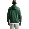 Men's Nike hoodie, green