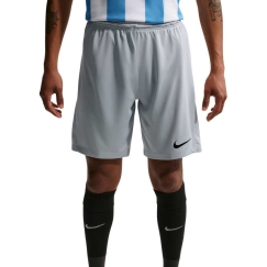 Meeste lühikesed püksid Nike Dry Park III NB K helehall BV6855 012 (XL)