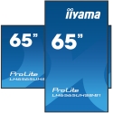 iiyama 65" Vivid-Bright Display with 4K resolution and 800cd/m² panels for illuminating communication iiyama 65" Vivid-Bright Display with 4K resolution and 800cd/m² panels for illuminating communication